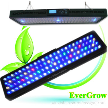 It2080 Marine Aquarium LED Lighting with CE and RoHS